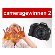 Logo of Cameragewinnen.de