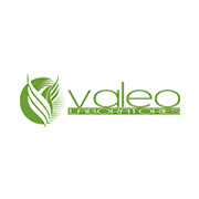 Logo of Valeo-One