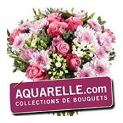 Logo of Aquarelle