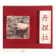 Logo of Leuchtendes Bild