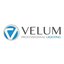 Logo de Velum International